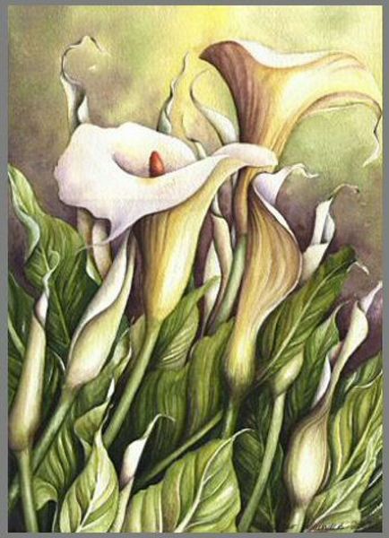 Painted Lilies Set 02 - 72 x A4 Pages to Download